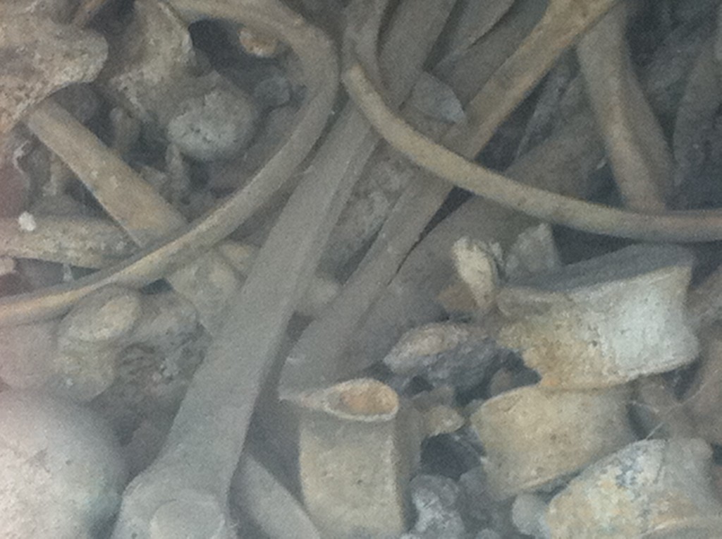 ossuarium eerste wereldoorlog, blauwe meisje