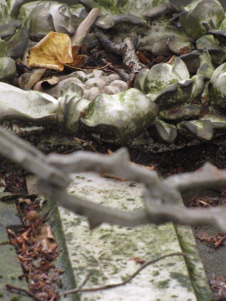 Schoonheid van het verval