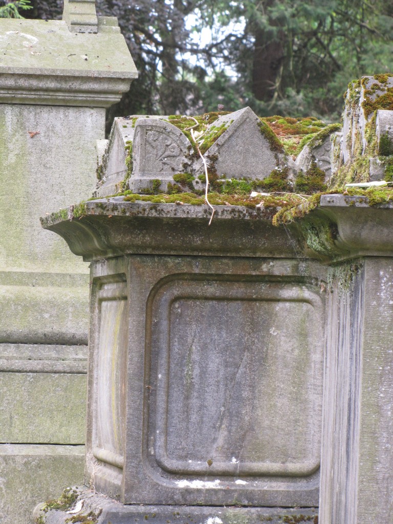 Schoonheid van het verval