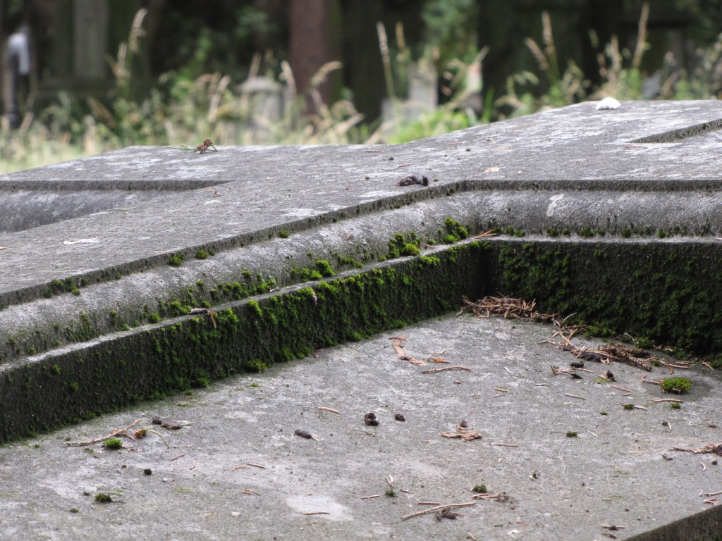 De schoonheid van het verval
