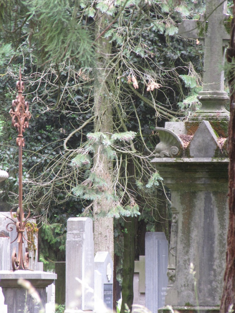 De schoonheid van het verval