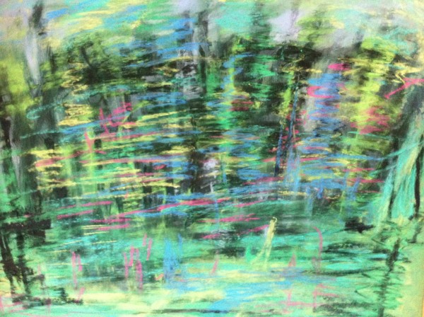 foto's afbeelding forrest 003