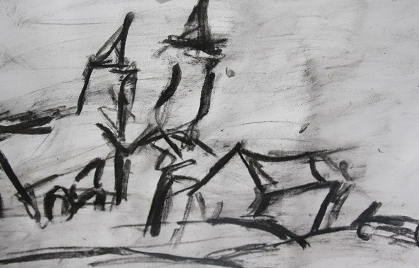 Why are people that divided, do live altogether  in peace 